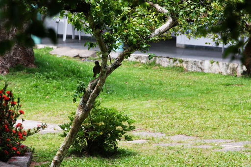 Pousada Sitio Paraiso 이타카레 외부 사진